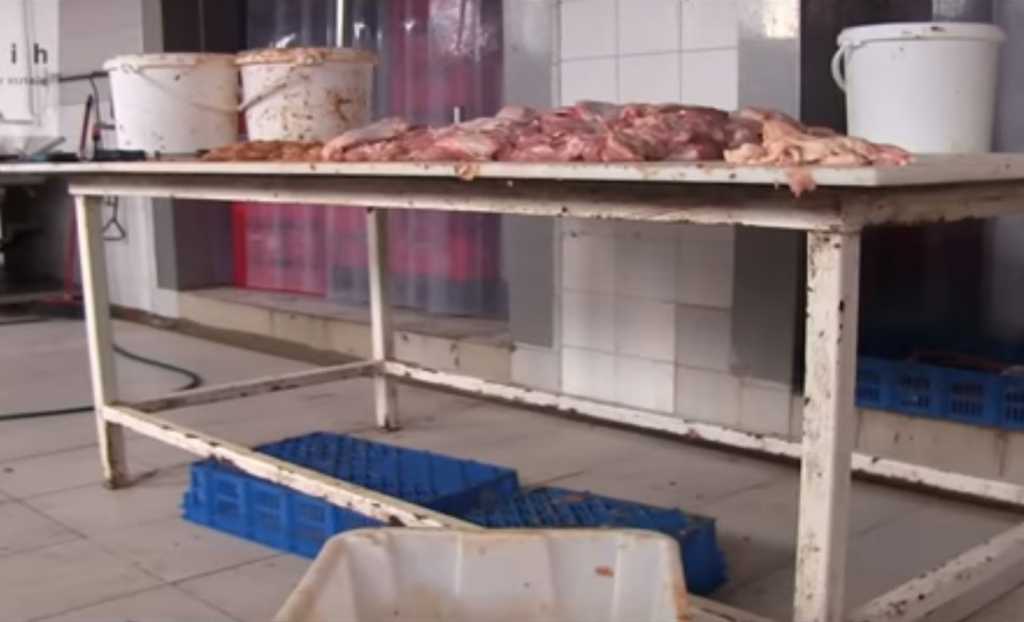 Potravinový skandál